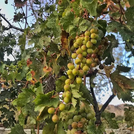 Kardelen Apart * Datca