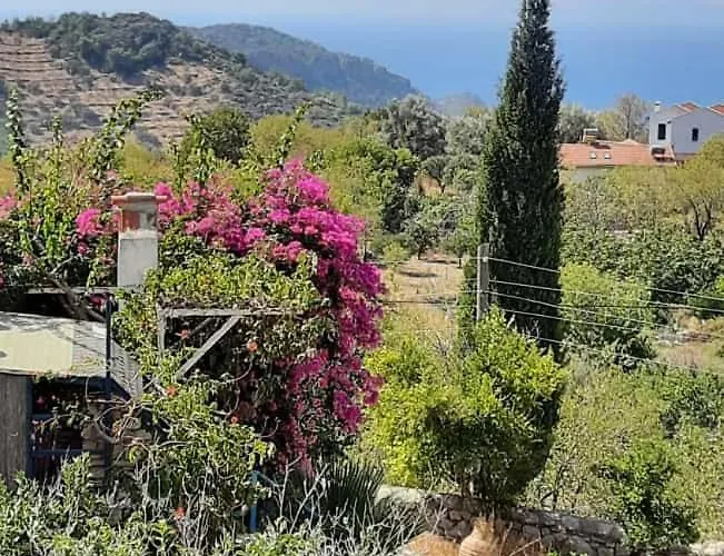 Kardelen Apart Aparthotel Datca