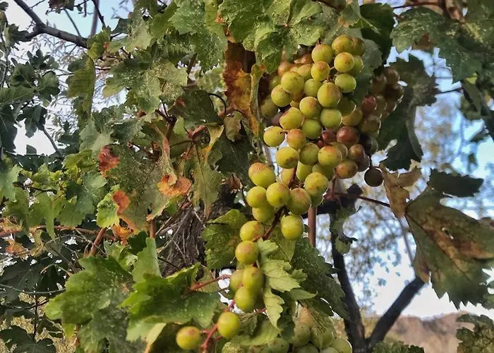 Kardelen Apart * Datca